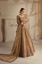 Shop Golden Aura Online at Erum Khan