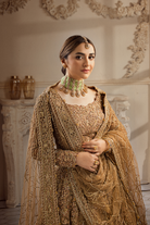 Shop Golden Aura Online at Erum Khan