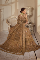 Shop Golden Aura Online at Erum Khan