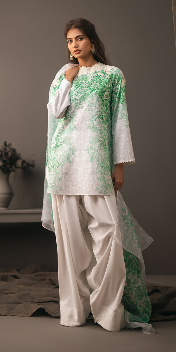 Shop Vivid Elegance Online at Erum Khan