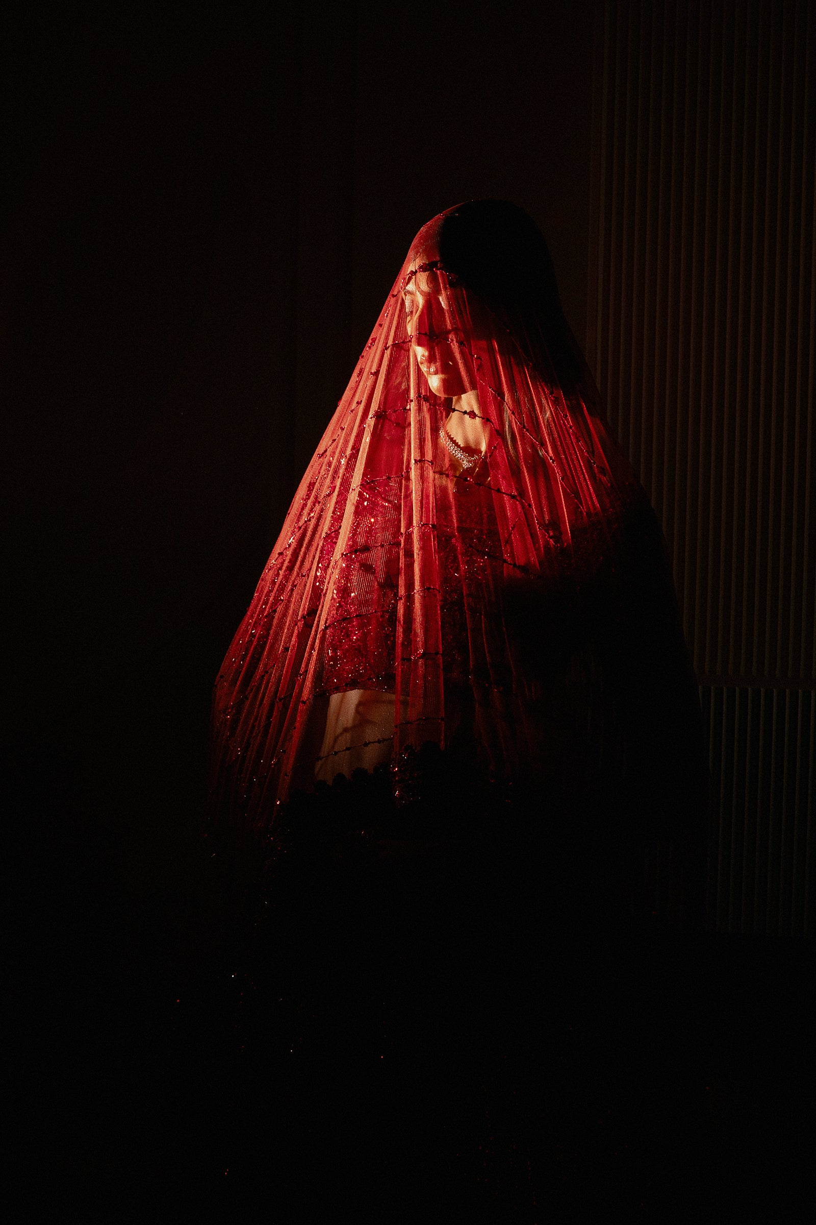 Shop Crimson Bloom Online at Erum Khan