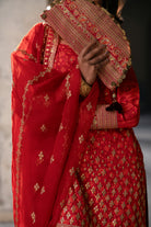 Shop Gulnaar Online at Erum Khan