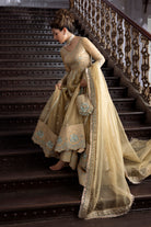 Shop Golden Glow Online at Erum Khan