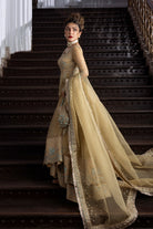 Shop Golden Glow Online at Erum Khan