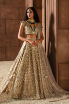 Gold Dream - Erum Khan